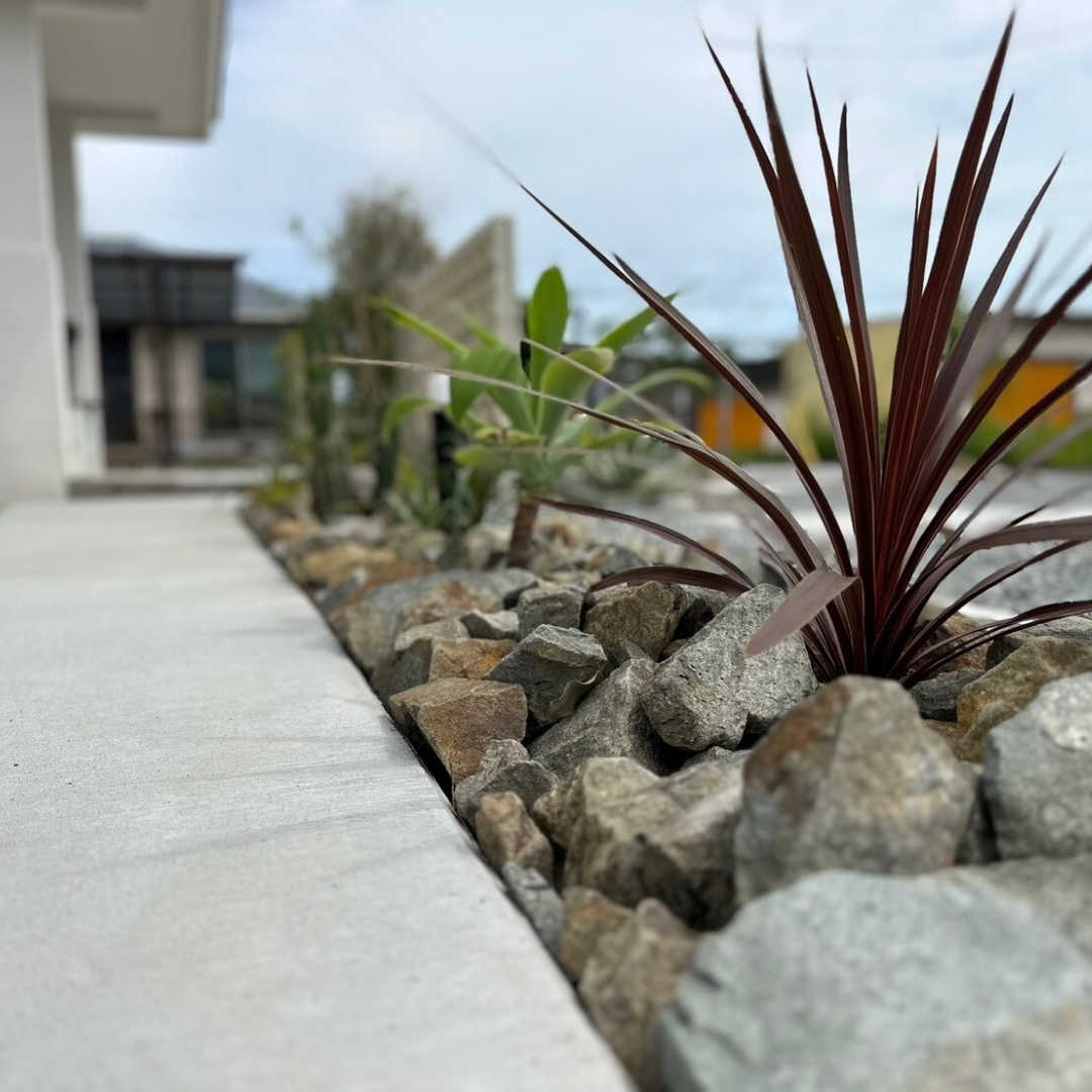 緑豊かな住宅街と美しい植栽