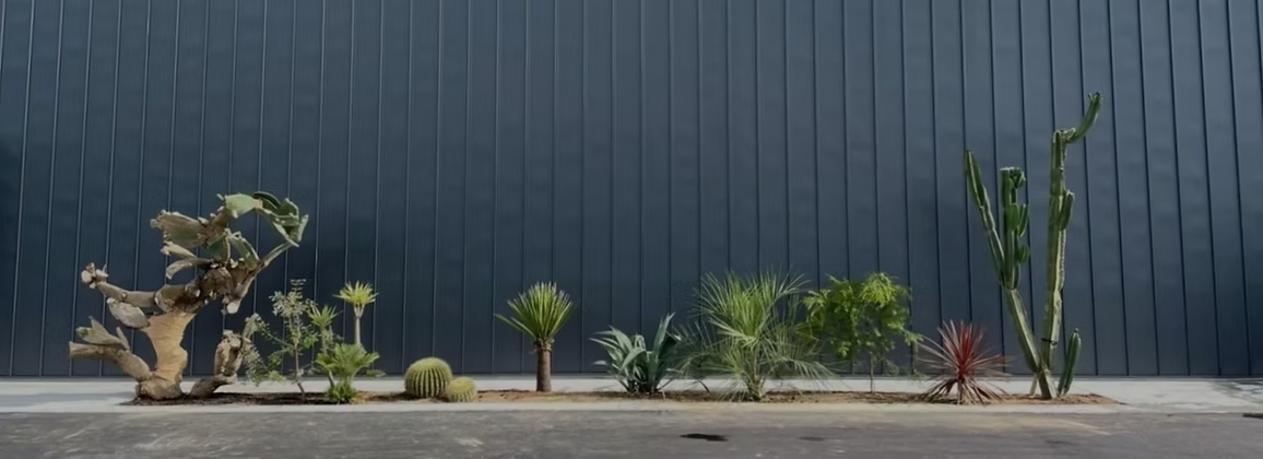 後藤造園の事業内容と植栽デザイン